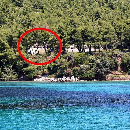 Apartments By The Sea Zuljana, Peljesac - 10233 ภายนอก รูปภาพ