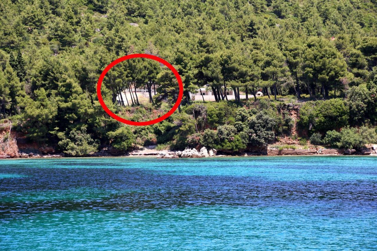 Apartments By The Sea Zuljana, Peljesac - 10233 ภายนอก รูปภาพ